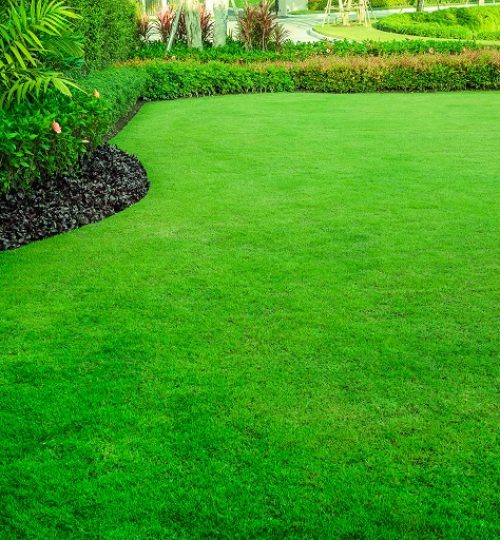 Decorative garden, Green lawn, the front lawn for background.